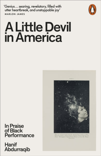 A Little Devil in America : In Praise of Black Performance - 9780141995793
