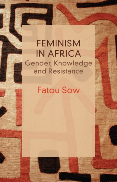 Feminism in Africa : Gender, Knowledge and Resistance - 9781509567744