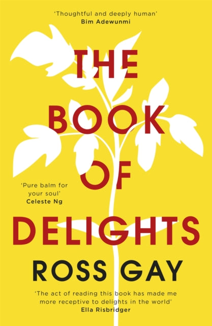 The Book of Delights : The life-affirming New York Times bestseller - 9781529349771