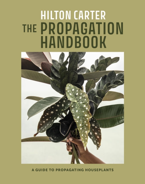 The Propagation Handbook by Hilton Carter - Afrori Books LTD