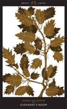 Giovanni's Room by James Baldwin - Afrori Books LTD