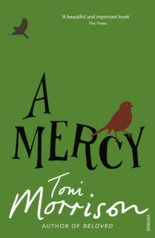 A Mercy by Toni Morrison - Afrori Books LTD