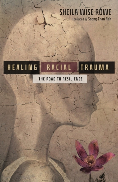 Healing Racial Trauma : The Road to Resilience by Sheila Wise Rowe - Afrori Books LTD