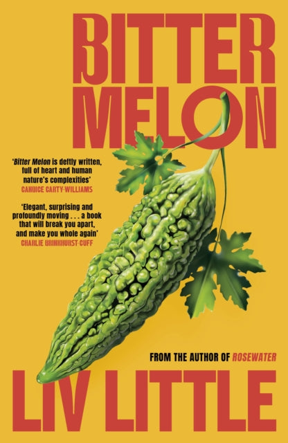 Bitter Melon by Liv Little   Published: 22 October 2026 - Afrori Books LTD