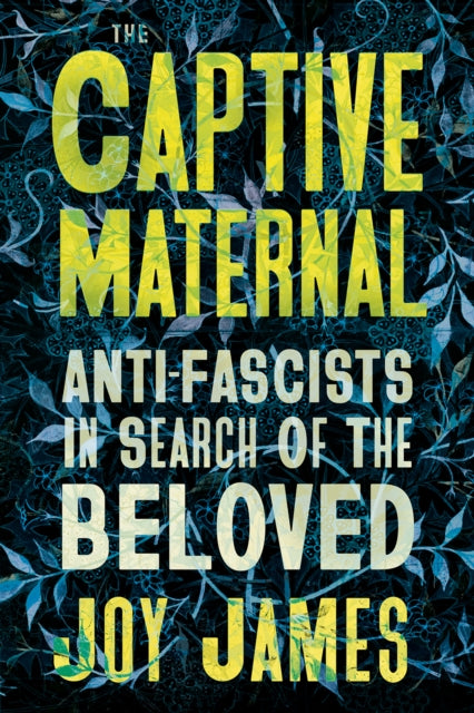 The Captive Maternal : Anti-Fascists in Search of the Beloved - 9780745349923