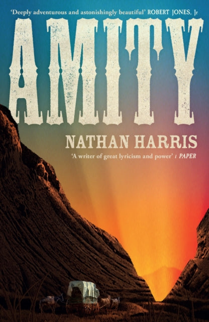 AMITY : from the Booker-longlisted author of The Sweetness of Water - 9781035404681