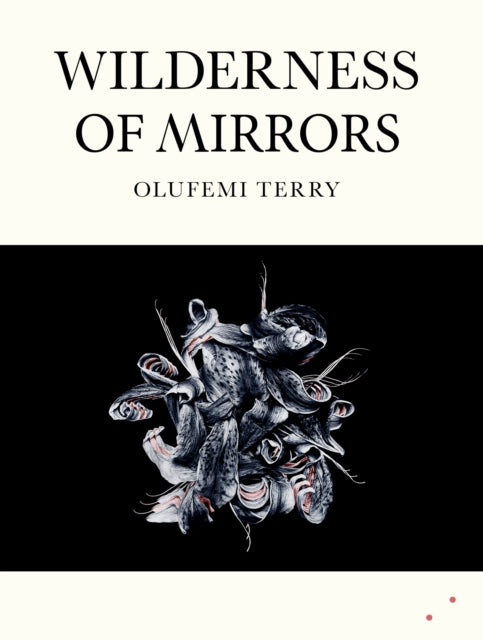 Wilderness of Mirrors - 9781068433856