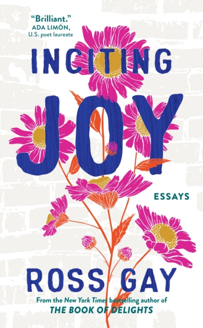 Inciting Joy : Essays - 9781399716017