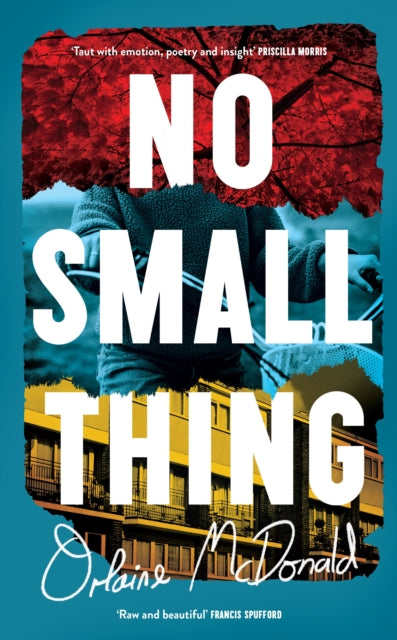 No Small Thing by Orlaine McDonald - Afrori Books LTD