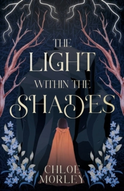 The Light Within the Shades : 1 - 9781803784144