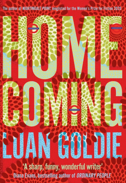 Homecoming by Luan Goldie
