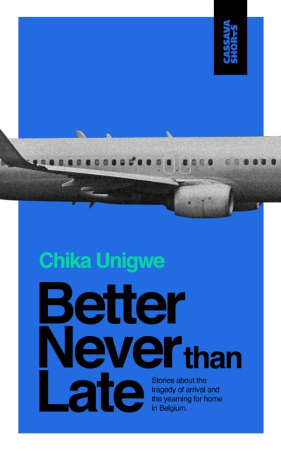 Better Never Than Late by Chika Unigwe - Afrori Books LTD