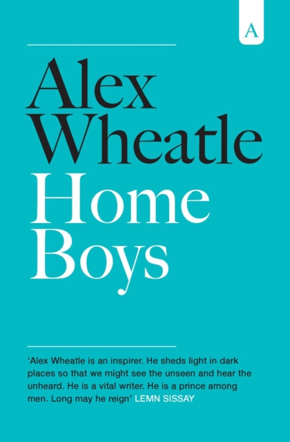 Home Boys by Alex Wheatle