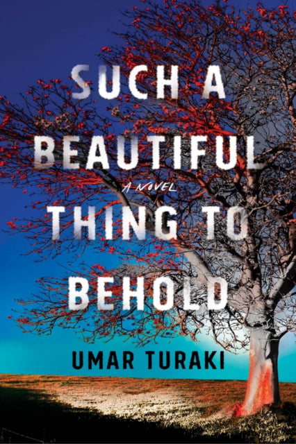 Such a Beautiful Thing to Behold : A Novel by Umar Turaki