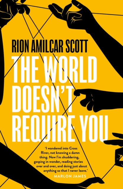 The World Doesn't Require You by Rion Amilcar Scott